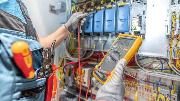 Best Ceiling Fan Installation Electrician  in Wilmington Island, GA
